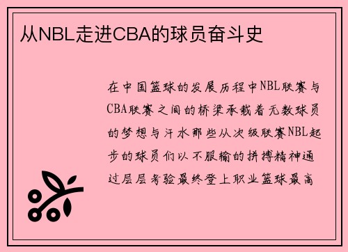 从NBL走进CBA的球员奋斗史